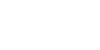 Soporte Estratégico